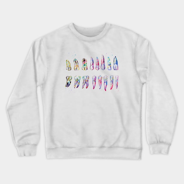 Teeth Diagram Crewneck Sweatshirt by erzebeth